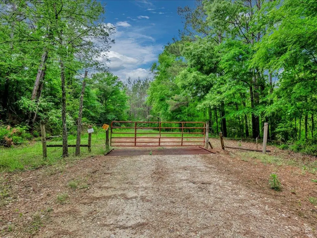 28160 Fm 95 S, Garrison, TX 75946 - #1