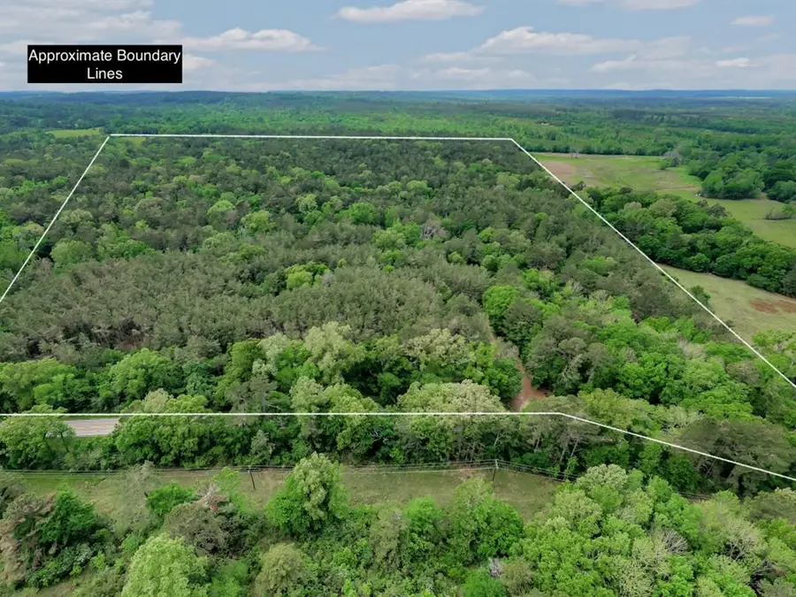 28160 Fm 95 S, Garrison, TX 75946 - #2
