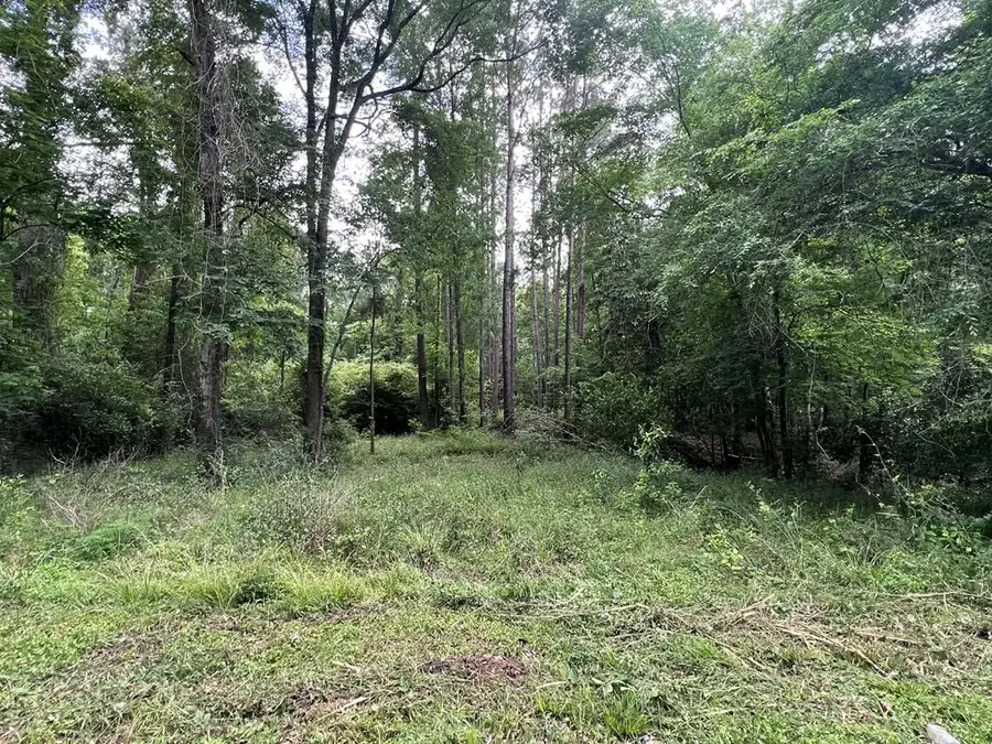 1003 Shady Lane, Jasper, TX 75951 - #3