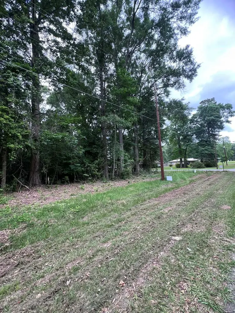 1993 Oak Grove Road, Jasper, TX 75951 - #2