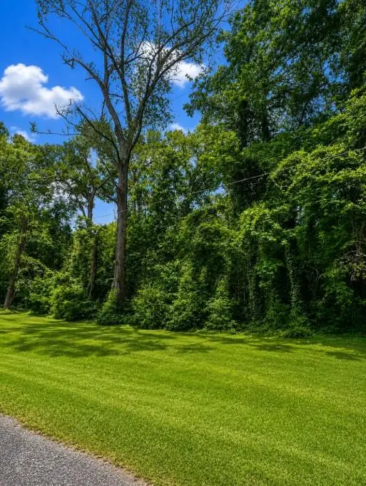 1981 Oak Grove Road, Jasper, TX 75951