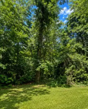 1981 Oak Grove Road, Jasper, TX 75951 - #2