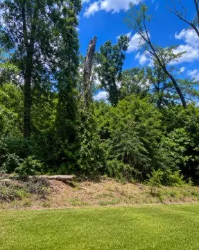 1981 Oak Grove Road, Jasper, TX 75951 - #3