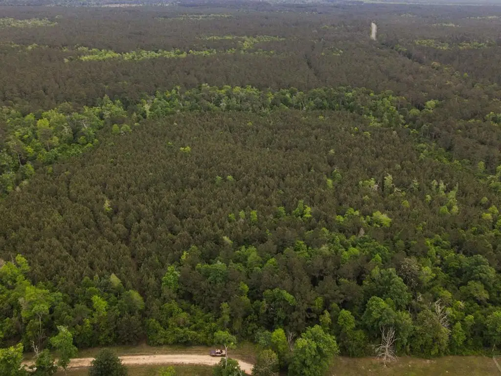 TBD County Road 4036, Bon Wier, TX 75928 - #1