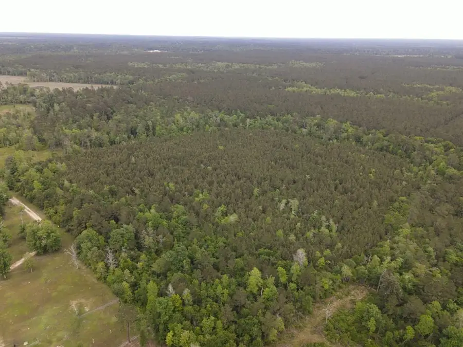 TBD County Road 4036, Bon Wier, TX 75928 - #2