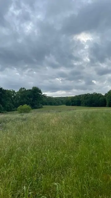 2824 Fm 705, Bronson, TX 75929