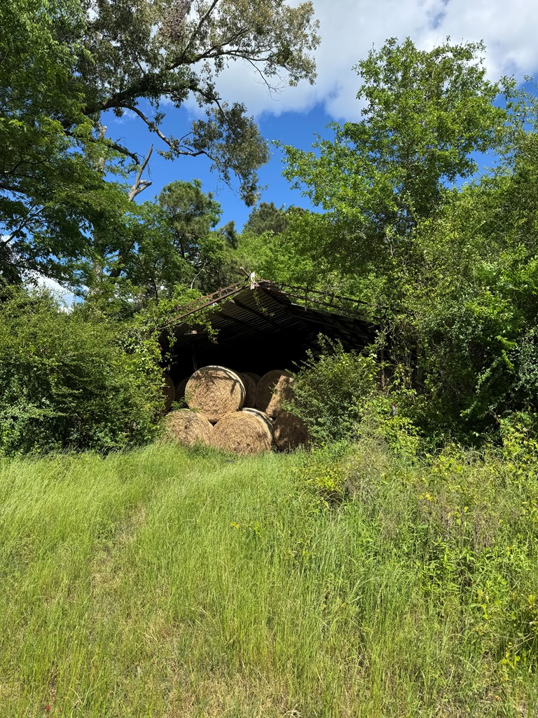 2824 Fm 705, Broaddus, TX 75929 - #3