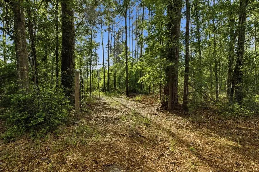 TBD Golf Course Road, Lufkin, TX 75901 - #2