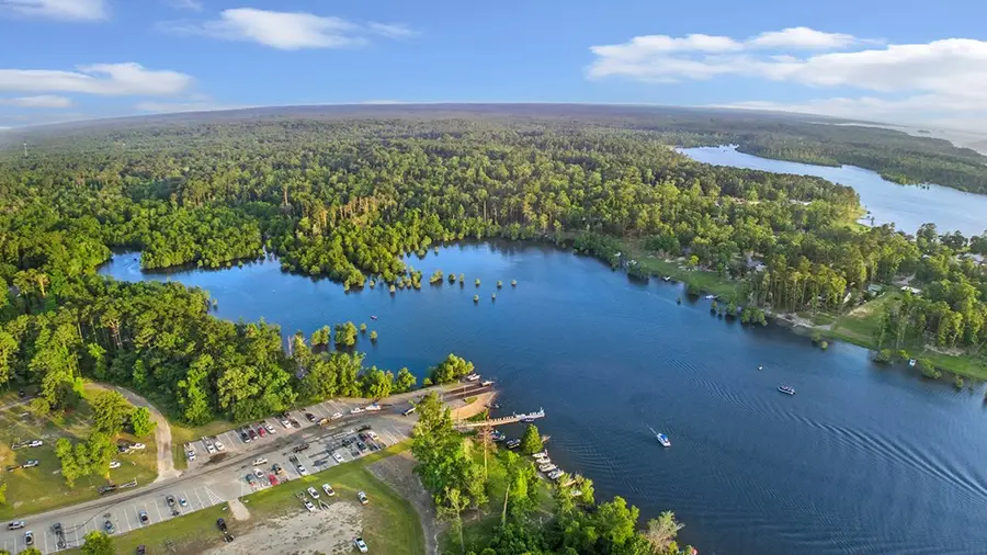 143 Sweetgum, Brookeland, TX 75931 - #3