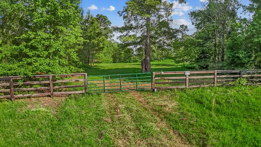 7807 County Road 447, Bronson, TX 75931 - #2