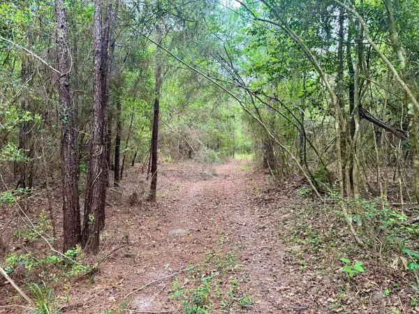 17 Accres County Road 1375, Warren, TX 77664