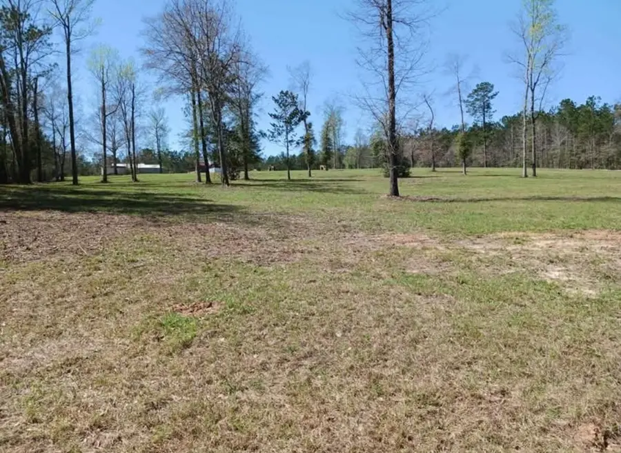 805 Hall Circle, Newton, TX 75966 - #2