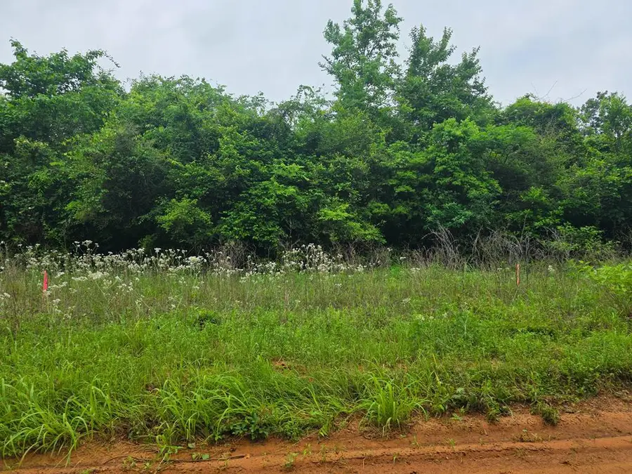 Parcel ID 24334 Cr 175, Nacogdoches, TX 75946 - #2