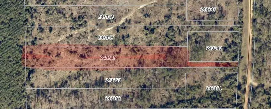 Parcel ID 24334 Cr 175, Nacogdoches, TX 75946 - #3
