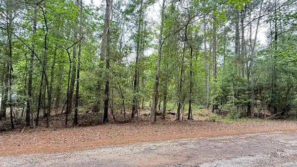 R033231 Dusky Lane, Brookeland, TX 75931