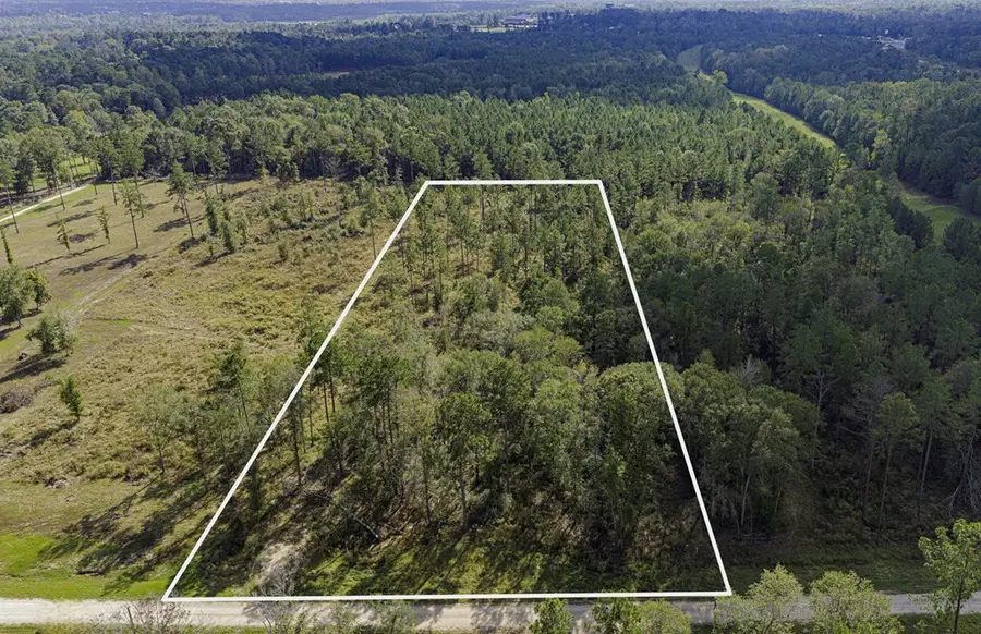 922 Rolling Pines Drive, Livingston, TX 77351 - #2