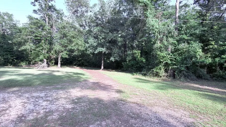 228 County Road 1030, Wiergate, TX 75977 - #3