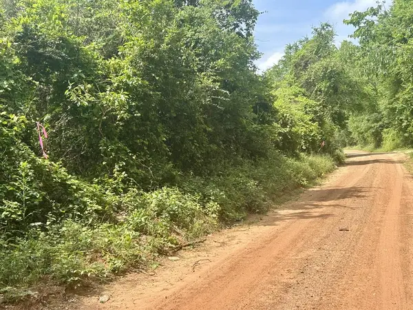 Lot 14 CR 175 Dobbs Rd, GARRISON, TX 75946