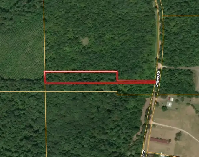Lot 12 CR 175 Dobbs Rd, Garrison, TX 75946 - #2