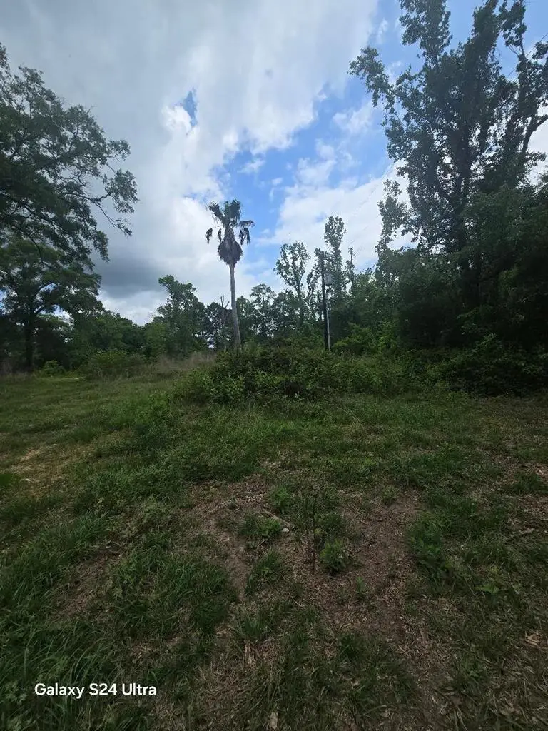 579 Cr 4205, Deweyville, TX 77632 - #1