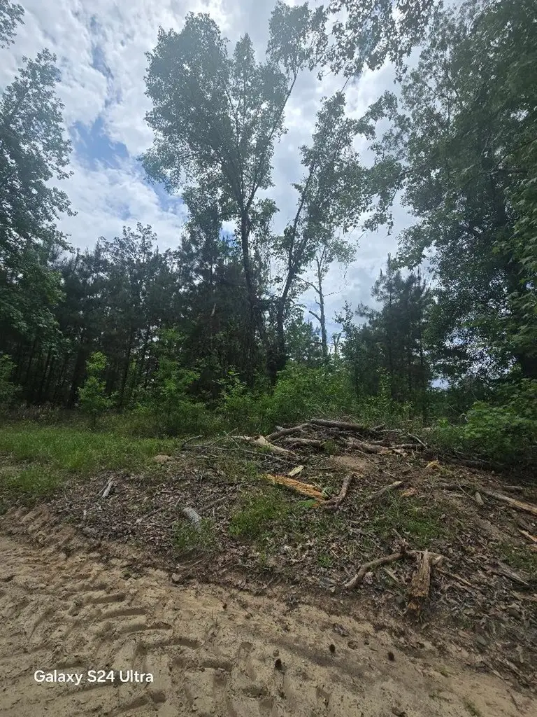 220 County Road 4078, Bon Wier, TX 75928 - #3