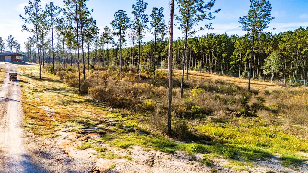 Lot 2 Blackbuck Drive, Moscow, TX 75960 - #1