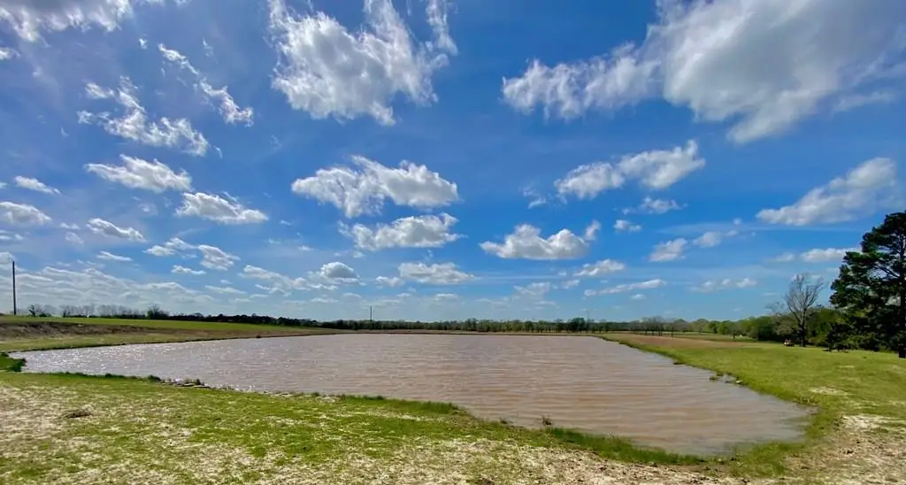 3145 Fm 1280w, Lovelady, TX 75851 - #1