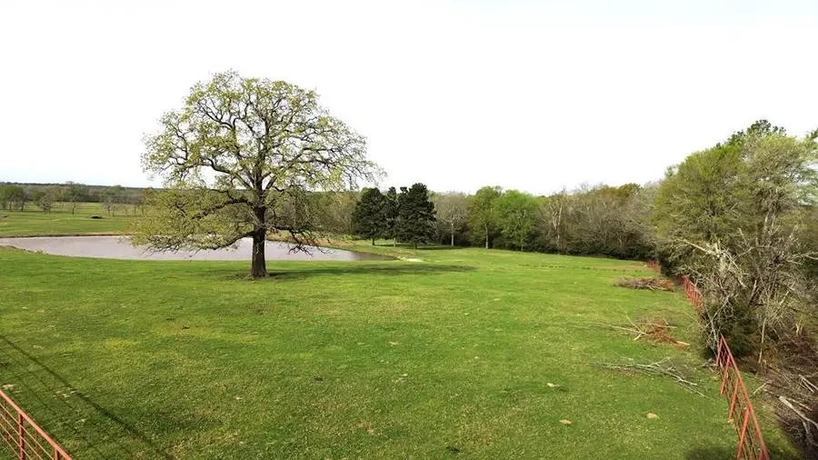 3145 Fm 1280w, Lovelady, TX 75851 - #2