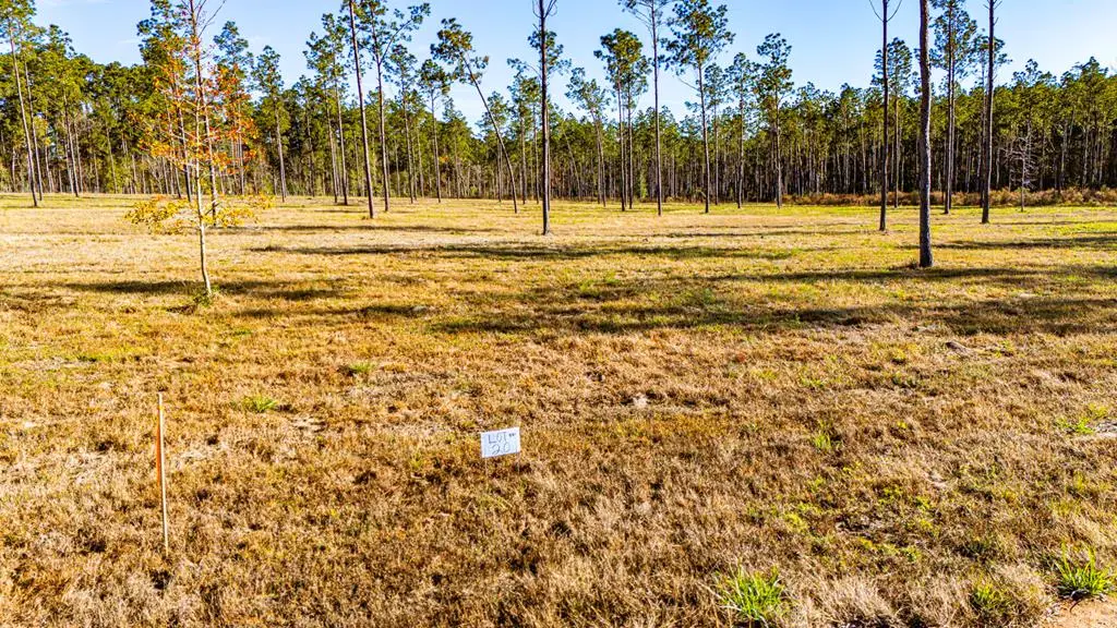 Lot 20 Big Buck Drive, Moscow, TX 75960 - #1