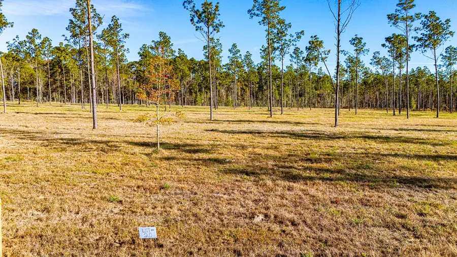 Lot 20 Big Buck Drive, Moscow, TX 75960 - #3