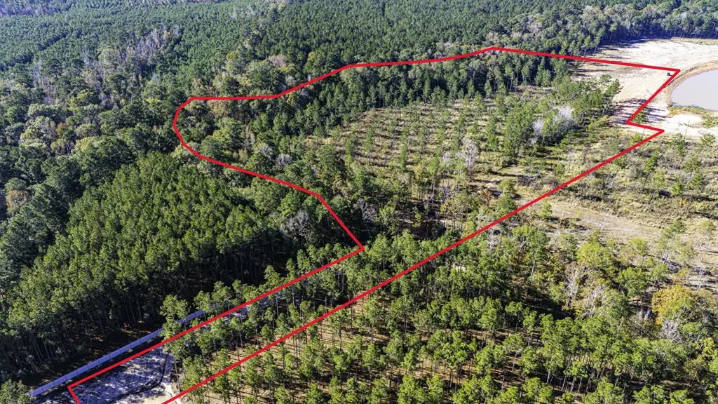 Lot 8 Big Buck Drive, Moscow, TX 75960 - #1