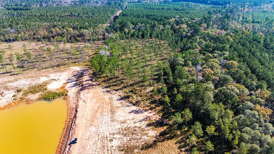 Lot 8 Big Buck Drive, Moscow, TX 75960 - #2