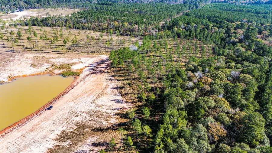 Lot 8 Big Buck Drive, Moscow, TX 75960 - #3