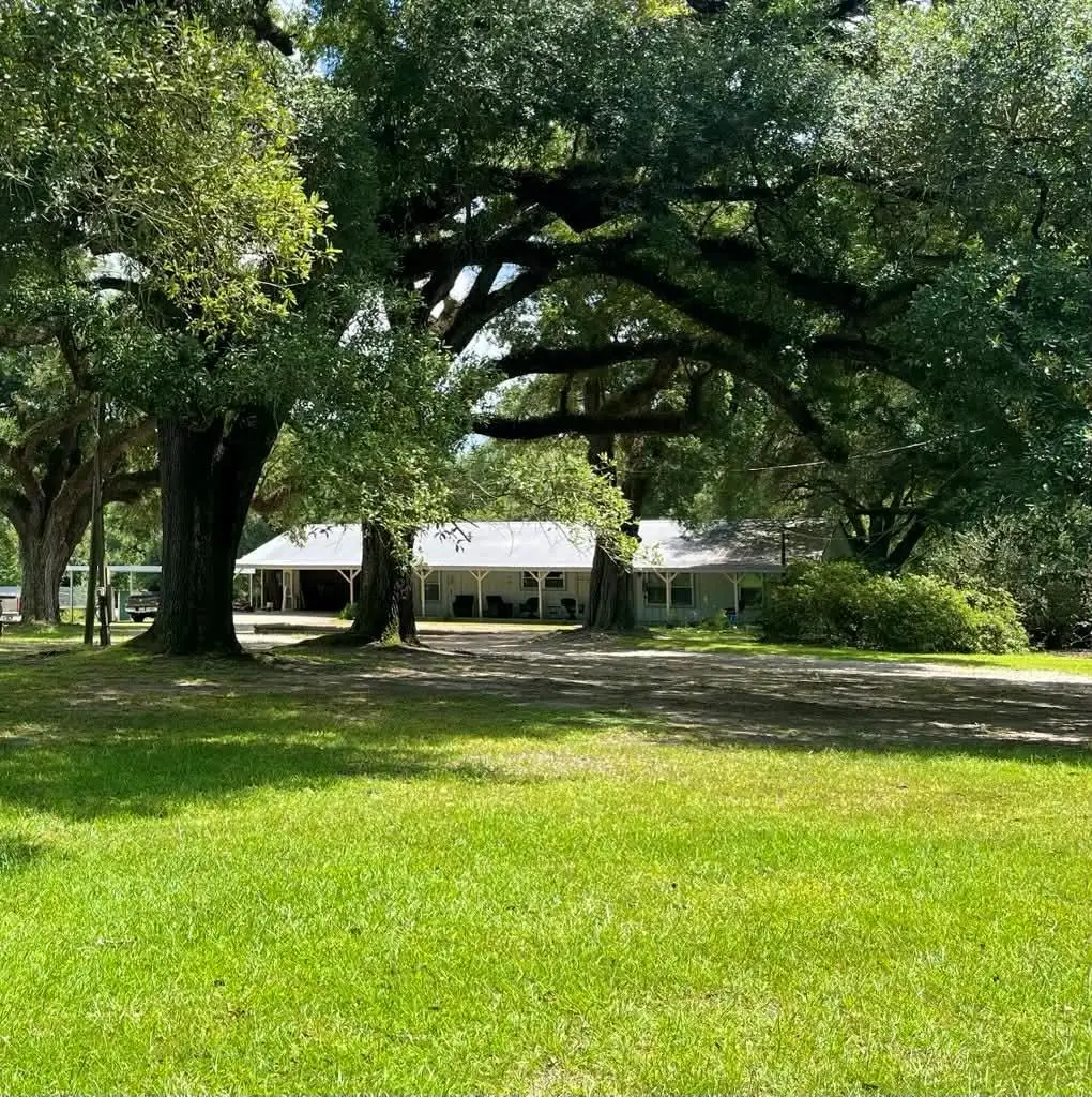 1229 County Road 3068, Kirbyville, TX 75956 - #1