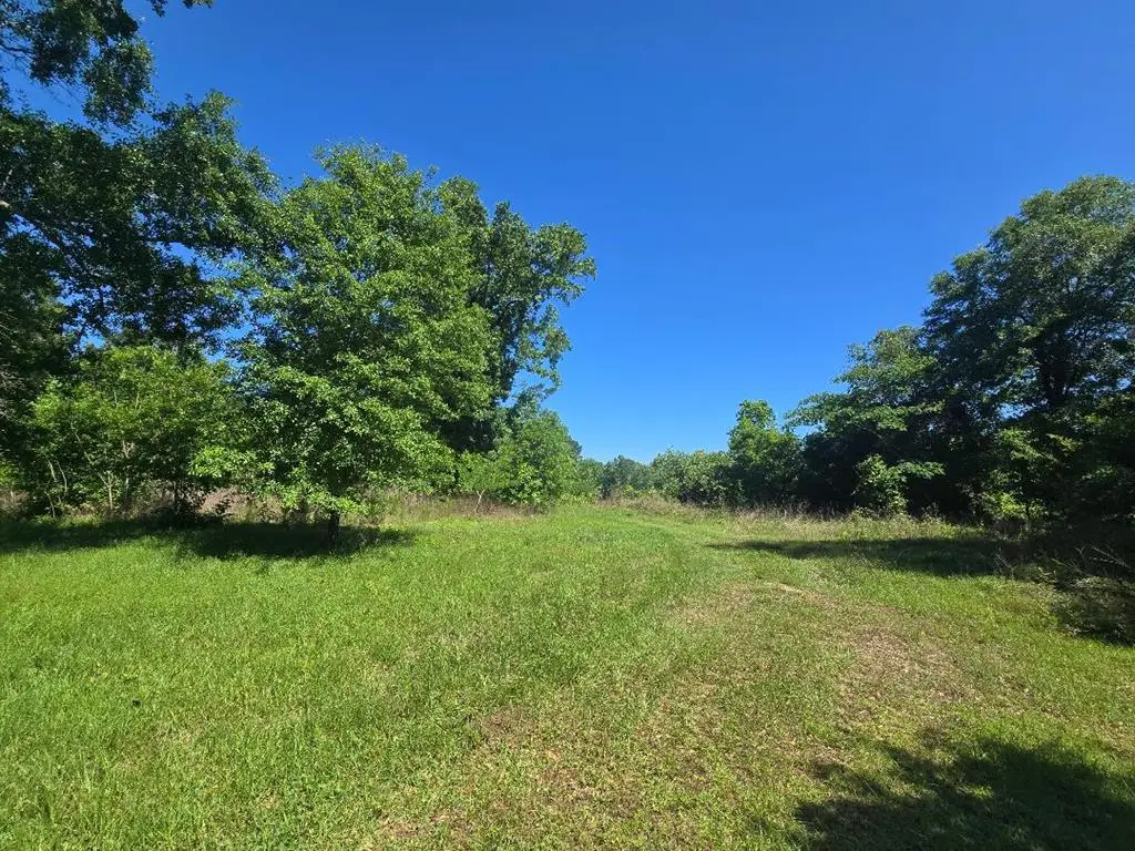 486 Cr 2120, Burkeville, TX 75932 - #1
