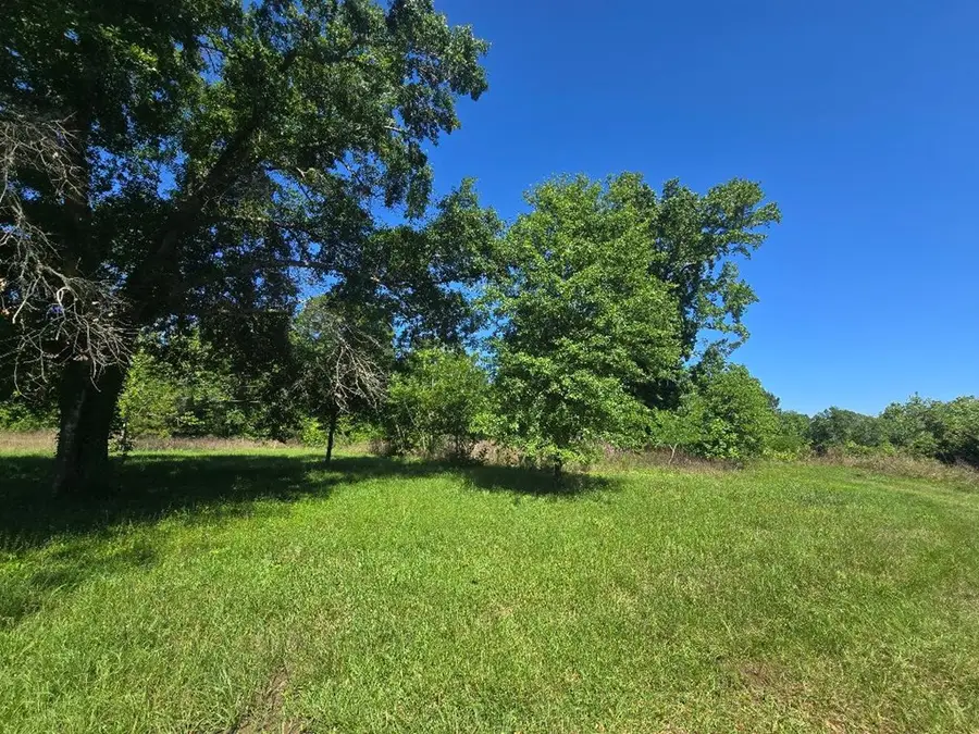 486 Cr 2120, Burkeville, TX 75932 - #2