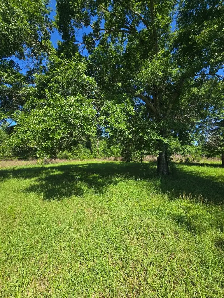 486 Cr 2120, Burkeville, TX 75932 - #3