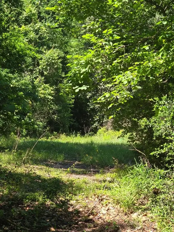 12405 Fm 1414, Burkeville, TX 75932