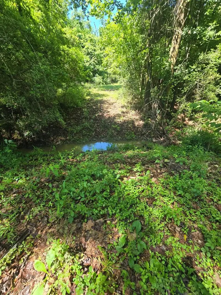 12405 Fm 1414, Burkeville, TX 75932 - #3