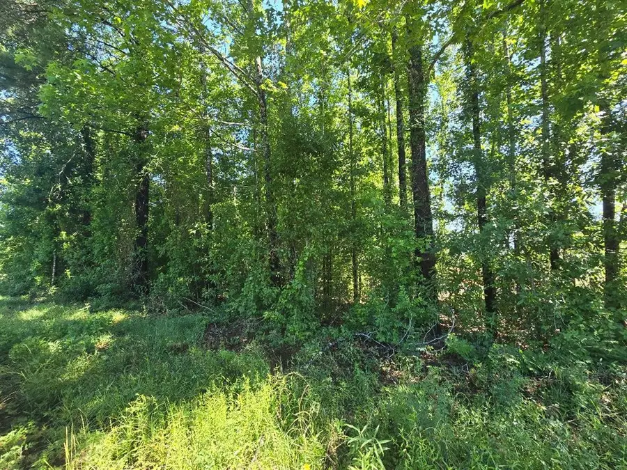 PID64930 Cr 2120, Burkeville, TX 75932 - #2