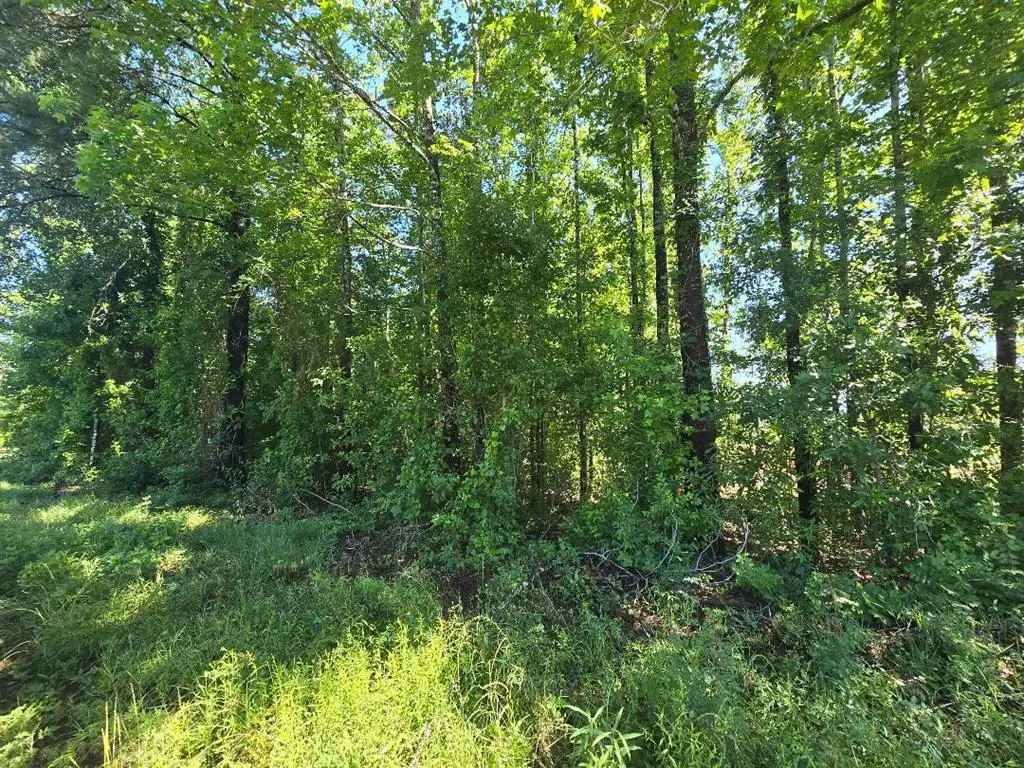 PID16460 Cr 2120, Burkeville, TX 75932 - #1