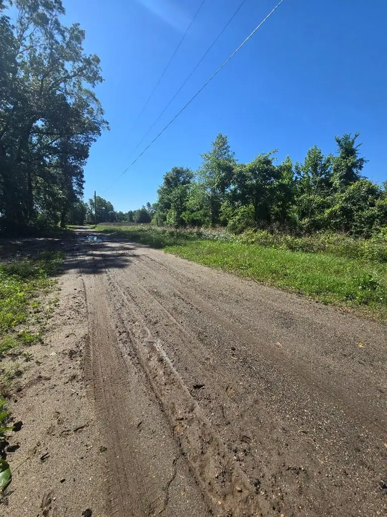 PID16460 Cr 2120, Burkeville, TX 75932 - #3