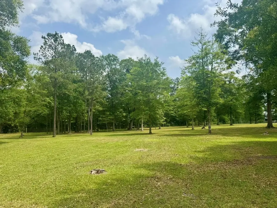 TBD County Road 1325, Warren, TX 77664 - #3