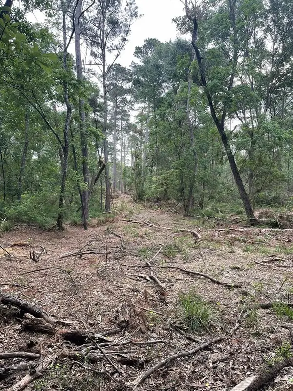 R15685 Moore Cemetery Road, Apple Springs, TX 77519