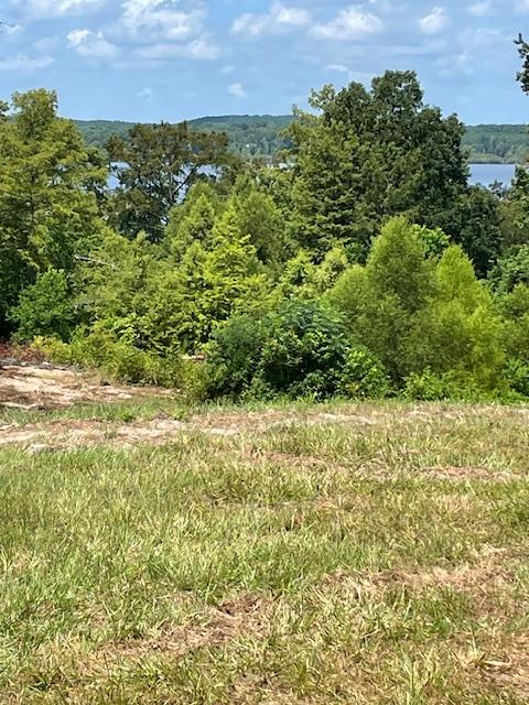 430 County Road 3360, Broaddus, TX 75929 - #1
