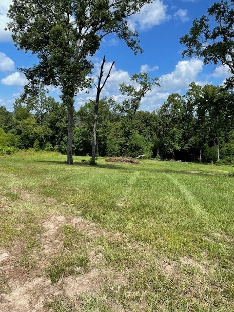 430 County Road 3360, Broaddus, TX 75929 - #2