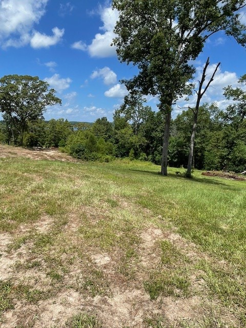 430 County Road 3360, Broaddus, TX 75929 - #3