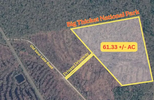 61.33 AC +/- Old Sour Lake Road, Sour Lake, TX 77659