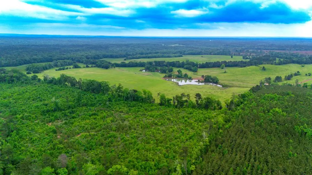 1897 Mcmahans Chapel Road, San Augustine, TX 75972 - #1