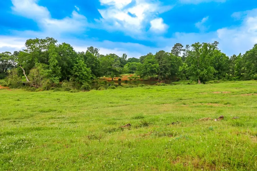 1897 Mcmahans Chapel Road, San Augustine, TX 75972 - #3